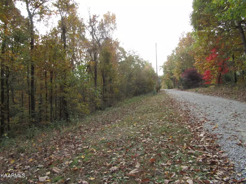 7.29 ac James White Rd, Celina, TN 38551