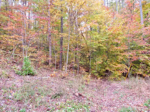 Gatlinburg, TN 37738,Lot 92 Pinnacle Vista Road