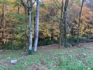 Powell, TN 37849,8201 Tangle Grove Lane LN