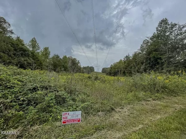 Ten Mile, TN 37880,Lot 11 Maple Grove Rd