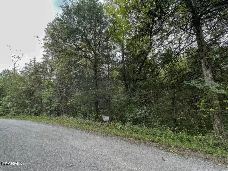 Lot 12 Maple Grove Rd, Ten Mile, TN 37880