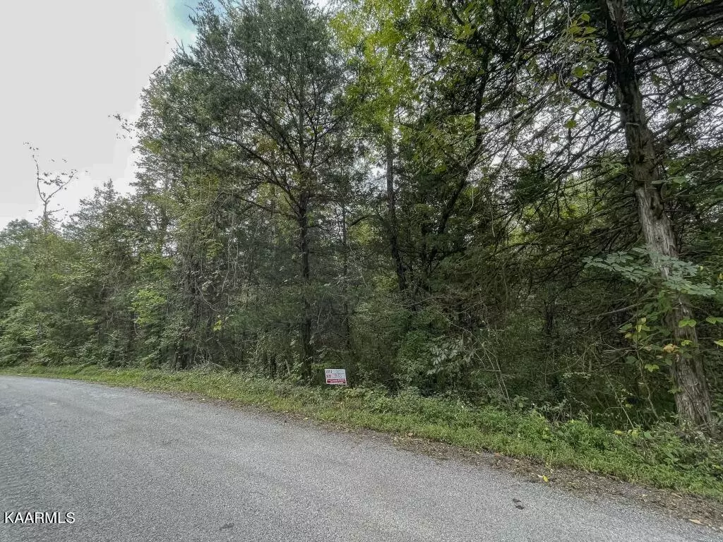 Ten Mile, TN 37880,Lot 12 Maple Grove Rd