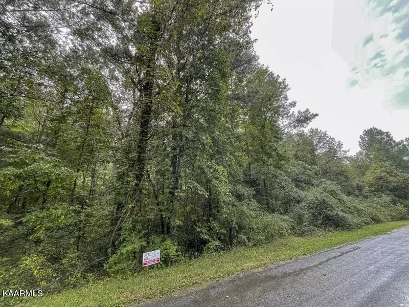 Lot 17 Maple Grove Rd, Ten Mile, TN 37880