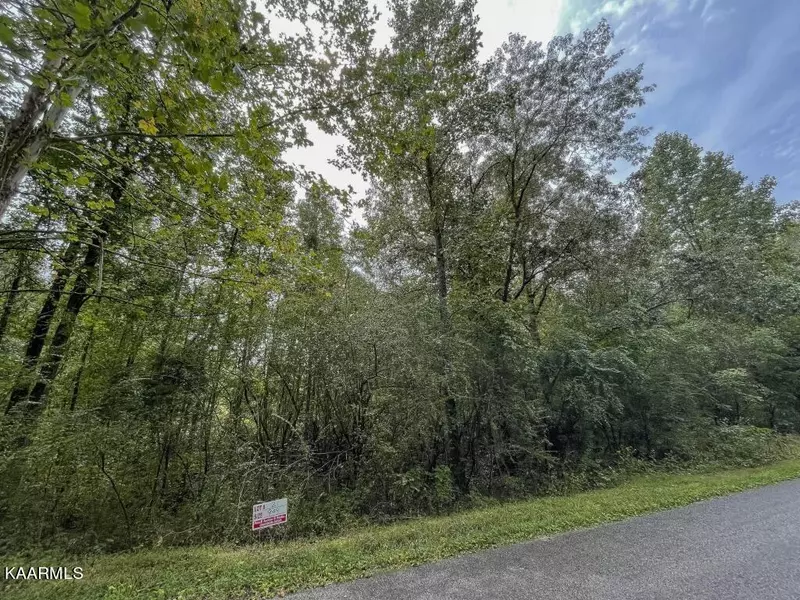 Lot 21 Maple Grove Rd, Ten Mile, TN 37880