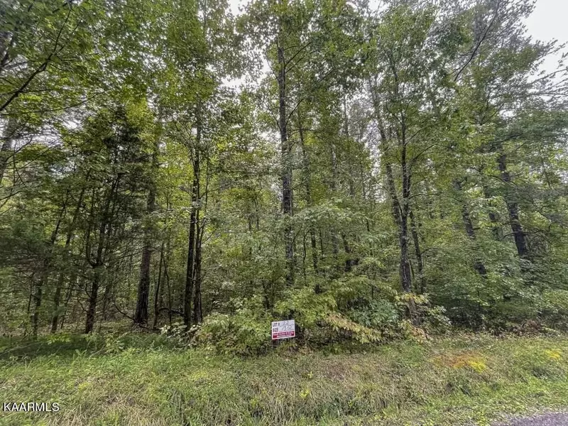 Lot 22 Maple Grove Rd, Ten Mile, TN 37880