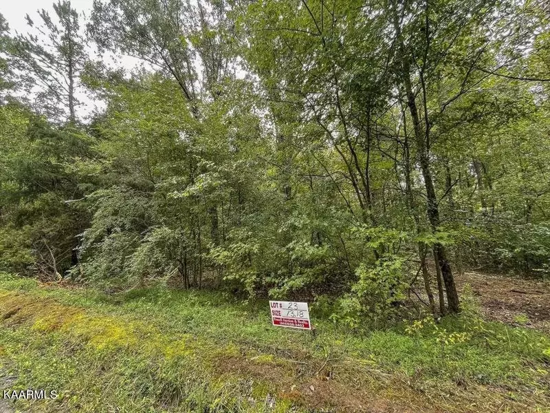 Lot 23 Maple Grove Rd, Ten Mile, TN 37880