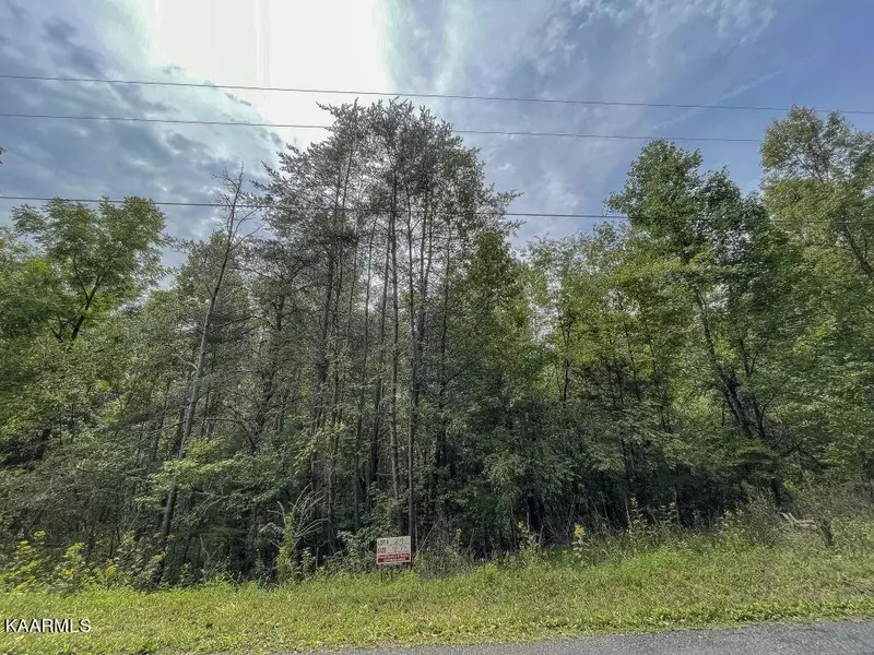 Lot 24 Maple Grove Rd, Ten Mile, TN 37880