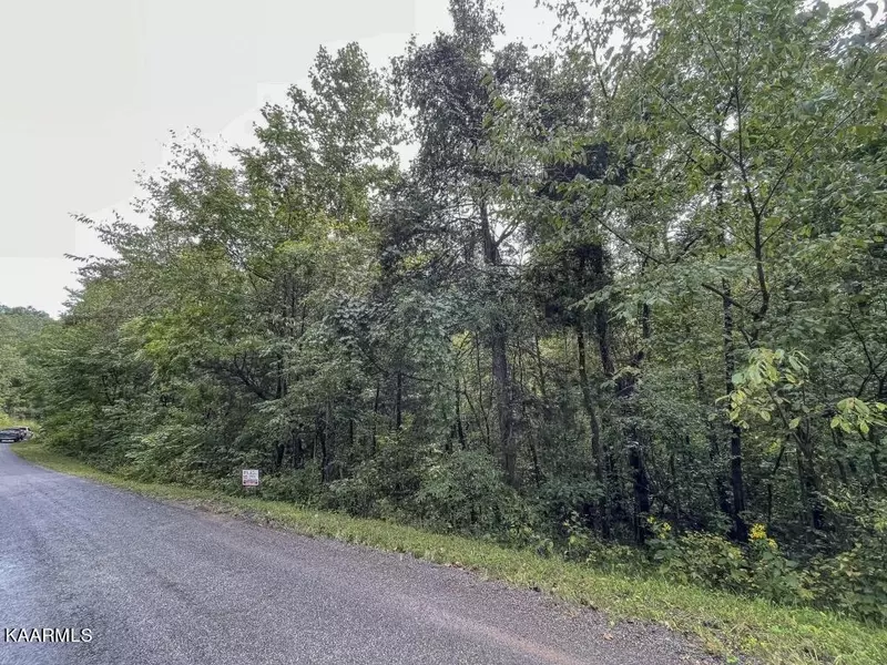 Lot 25 Maple Grove Rd, Ten Mile, TN 37880