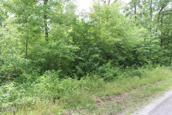 Bowater Rd, Deer Lodge, TN 37726