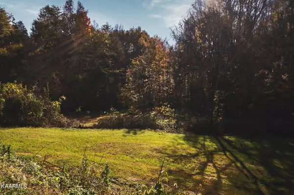 Seymour, TN 37865,Stanton Rd