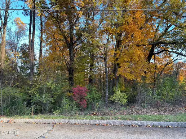 Seymour, TN 37865,Lot 47 Hinkle