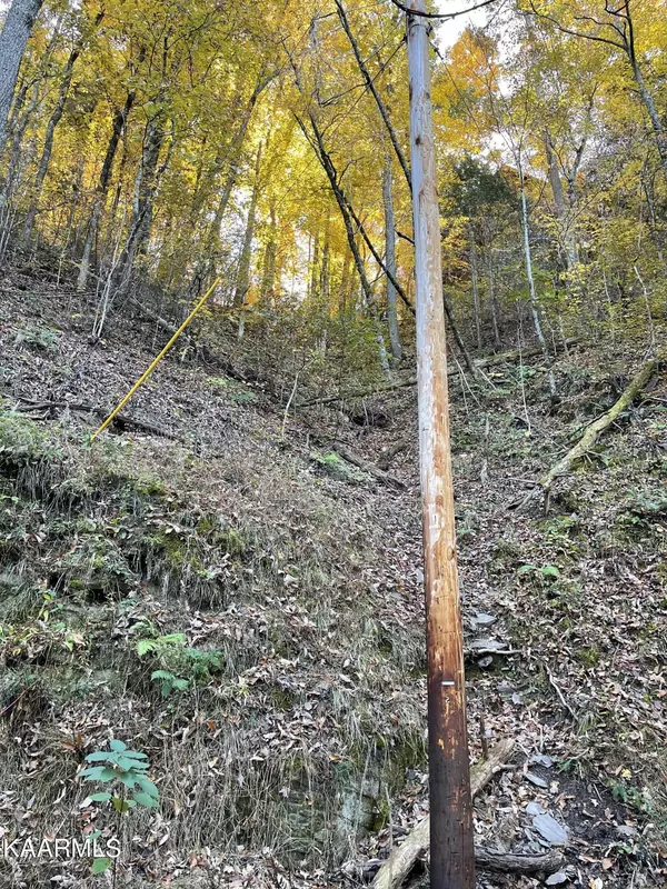 Sevierville, TN 37876,Headrick Lead Lot 22