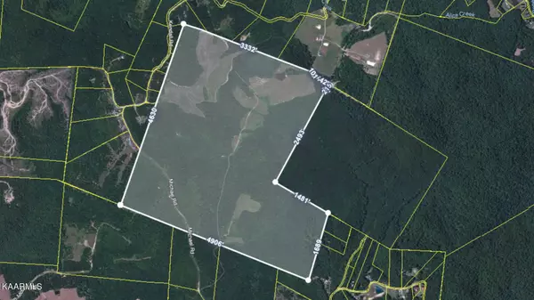 435 ACRES Anthony Rd, Sunbright, TN 37872