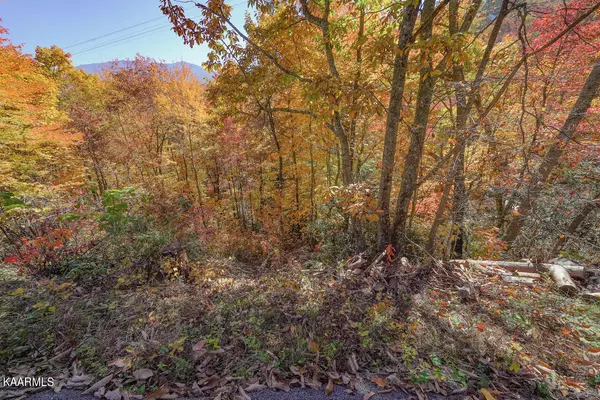 Gatlinburg, TN 37738,Lot 15 Heiden Circle