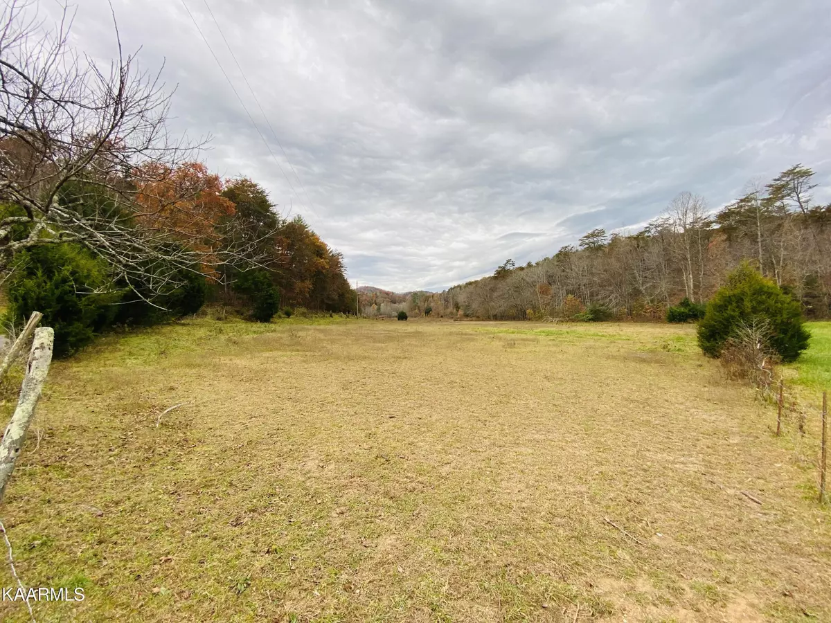 Tellico Plains, TN 37385,Towee Falls Rd