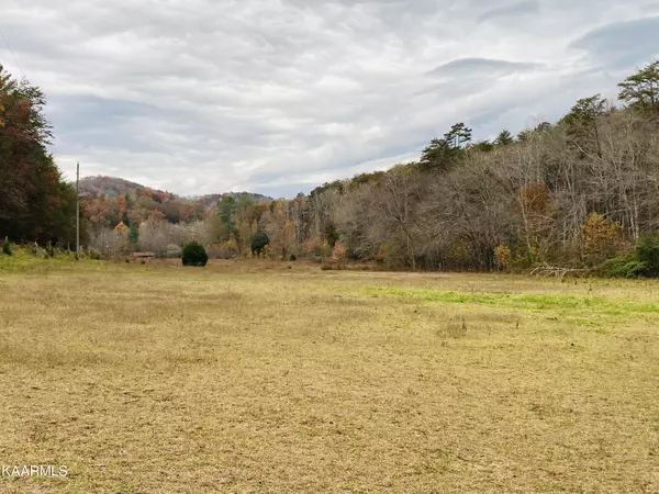 Tellico Plains, TN 37385,Towee Falls Rd