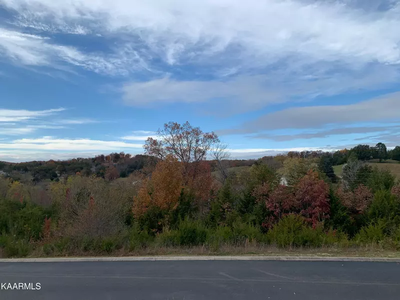 Lot 82 Blue Herring WAY, Sevierville, TN 37863