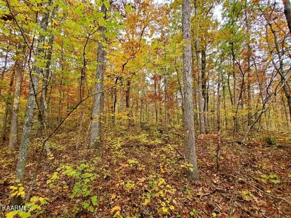 Crossville, TN 38558,13 Buckner TER