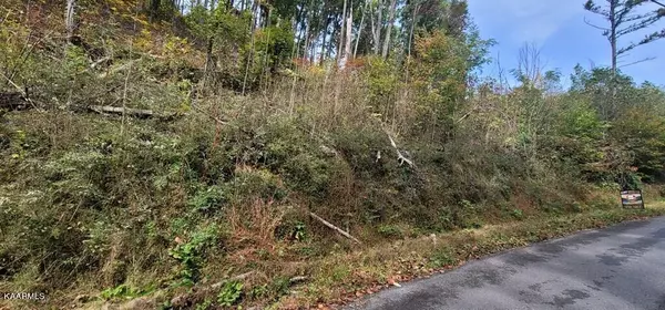 Sevierville, TN 37876,Lot 3BD Walker Trail