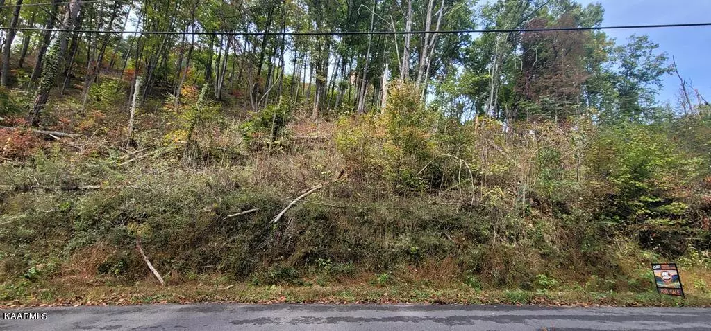 Sevierville, TN 37876,Lot 3BD Walker Trail