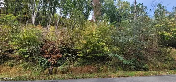 Sevierville, TN 37876,Lot 3BD Walker Trail