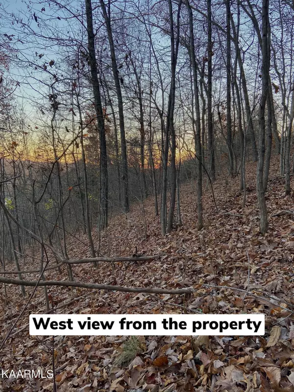 New Tazewell, TN 37825,Lot 611 Chimney Rock Rd