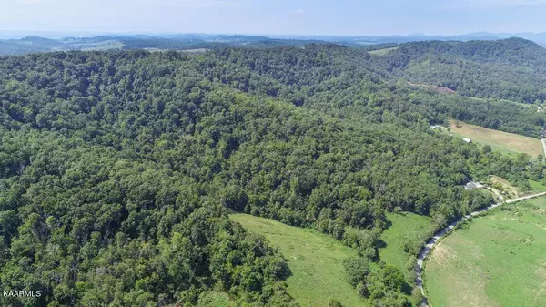 Lester Whitt Road, Rutledge, TN 37861