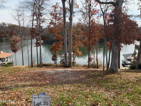 Lot 31 Waterfront WAY, Ten Mile, TN 37880