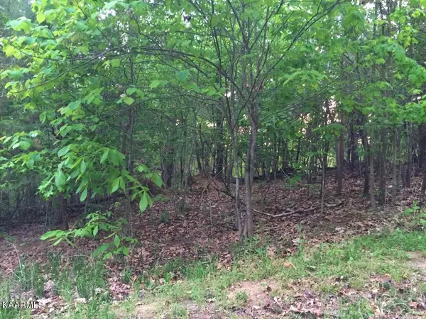 Parrottsville, TN 37843,Lot 29 Oak Hammock LN