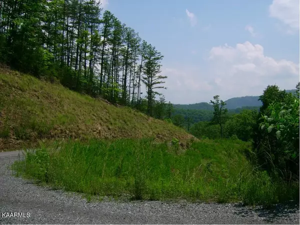 Sevierville, TN 37862,Lot 102E Deerskin Road