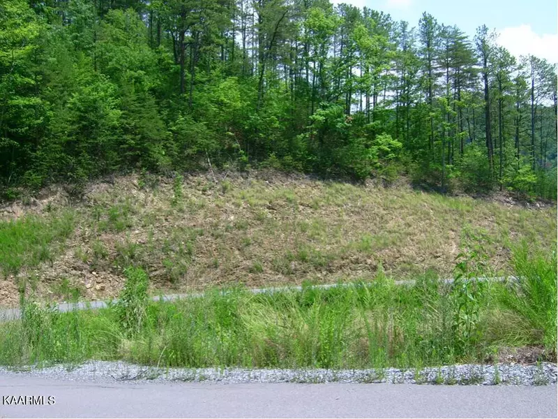 Lot 102E Deerskin Road, Sevierville, TN 37862