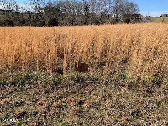 Rockwood, TN 37854,116 Roaming Fawn