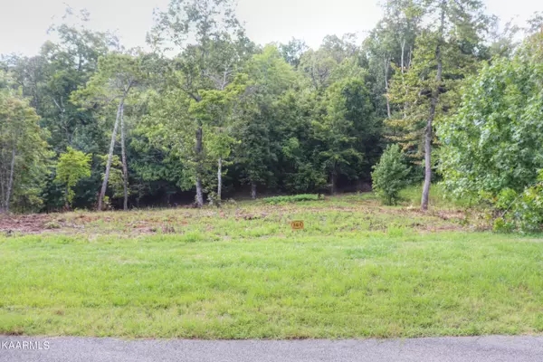 Rockwood, TN 37854,Lot 361 Water View DR