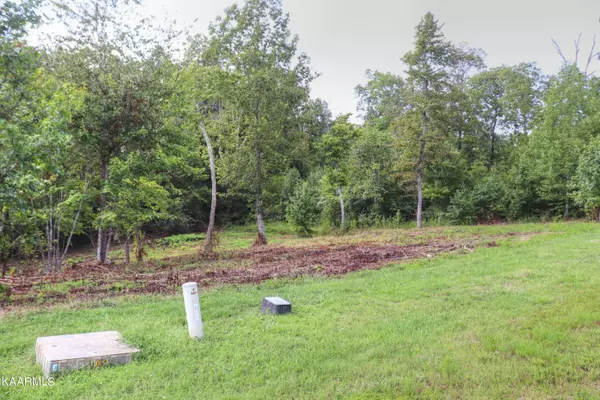 Rockwood, TN 37854,Lot 361 Water View DR