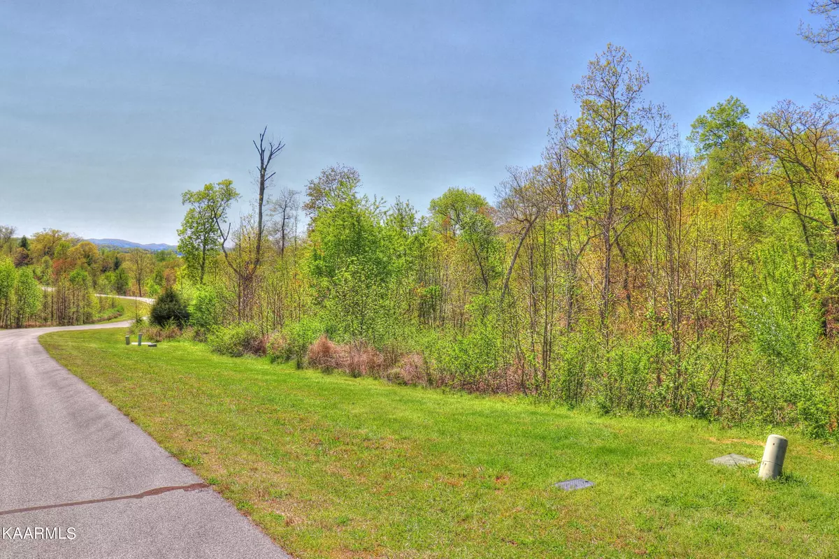 Rockwood, TN 37854,Lot 361 Water View DR