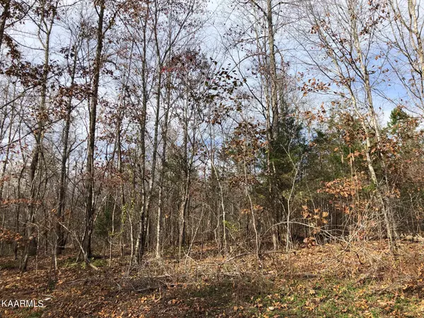 Lot 167 Dogwood Tr, Lafollette, TN 37766