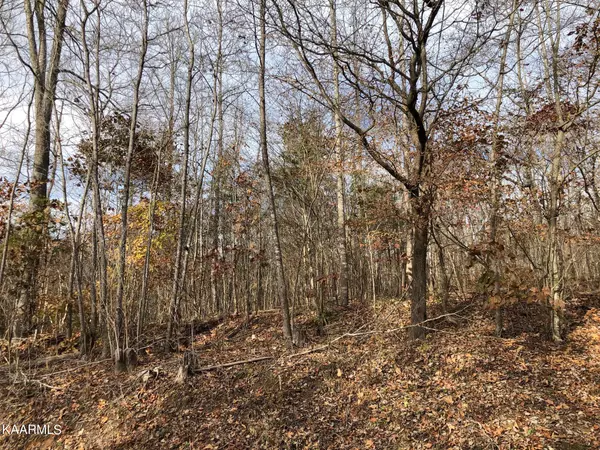 Lafollette, TN 37766,Lot 166 Dogwood Trail Tr