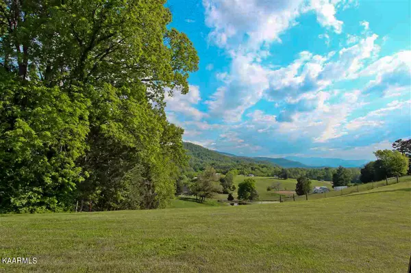 Newport, TN 37821,1.43 Lot 16 Tranquility Ridge DR