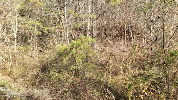 Wild Briar Tr, Sevierville, TN 37876