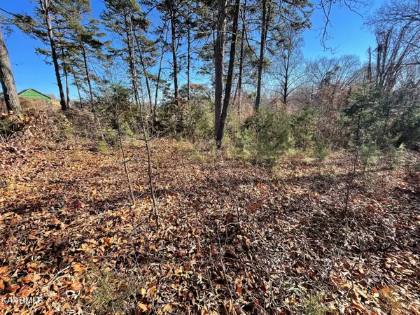 Rutledge, TN 37861,Lot 96 Cow Poke LN