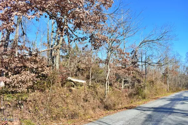 Spring City, TN 37381,Lots 1-4 Ewing Road