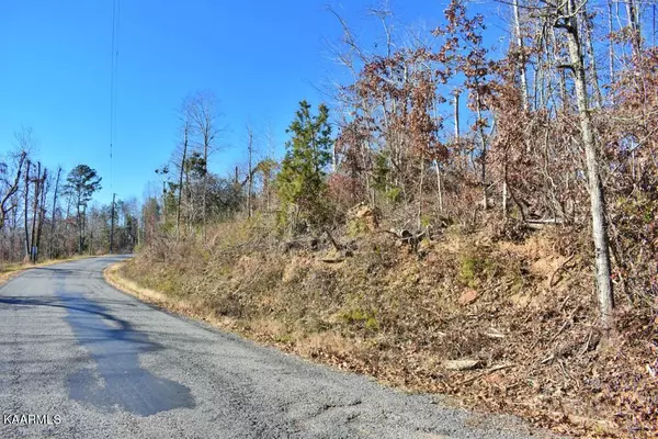 Spring City, TN 37381,Lots 1-4 Ewing Road