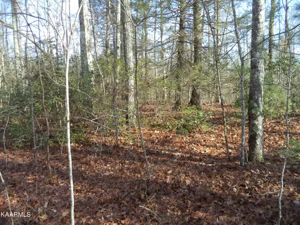 Oneida, TN 37841,Elishia Boyatt Rd