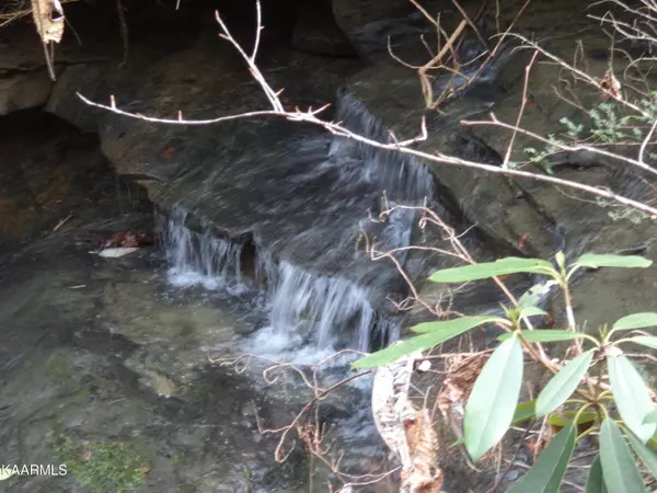 Oneida, TN 37841,Elishia Boyatt road