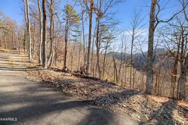 Sevierville, TN 37862,Lot 11 Headrick Lead