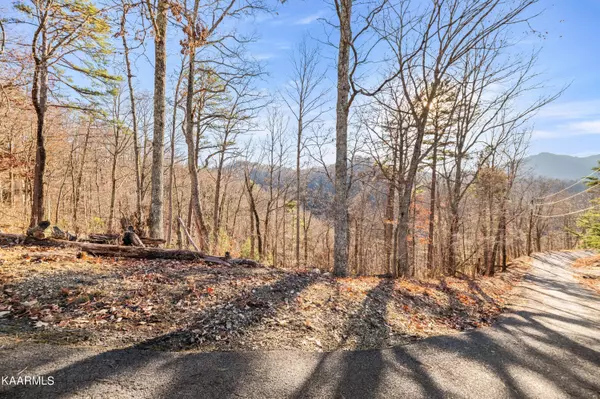 Sevierville, TN 37862,Lot 12 Headrick Lead