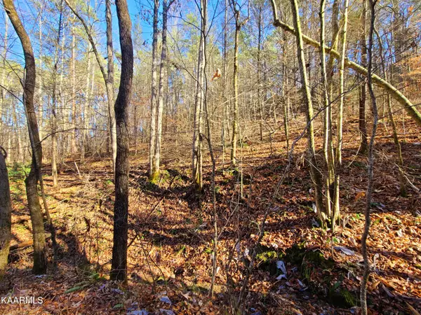 Sevierville, TN 37862,Lot 4 Walden Flats WAY