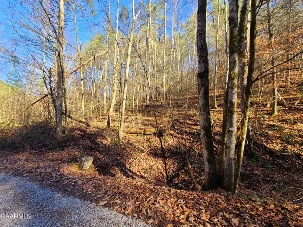 Sevierville, TN 37862,Lot 4 Walden Flats WAY