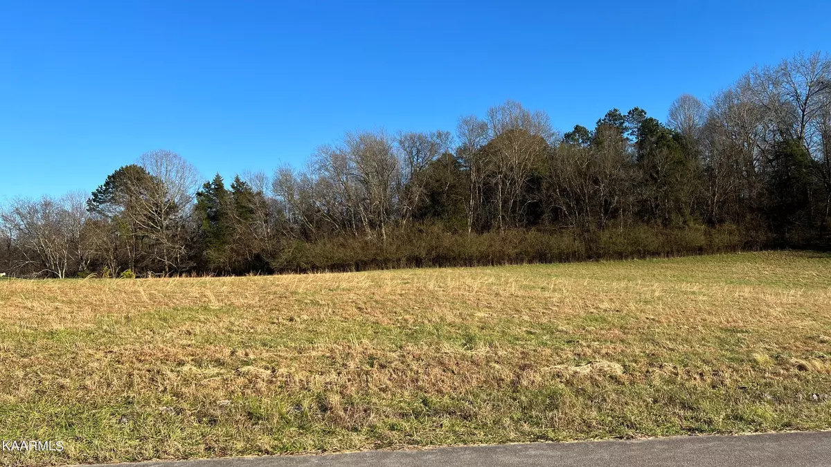 Kingston, TN 37763,Lot 131 Marble Bluff DR