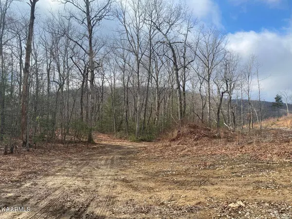 Crab Orchard, TN 37723,Smith Mountain Rd